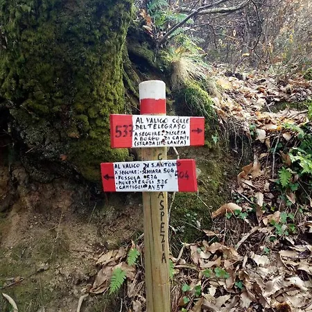 Da Greta Сasa de vacaciones *