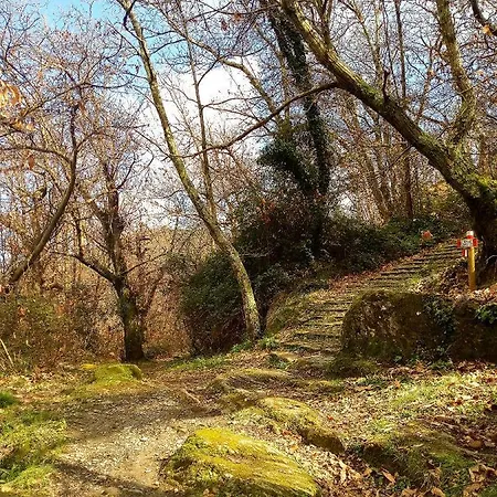Da Greta - Biassa